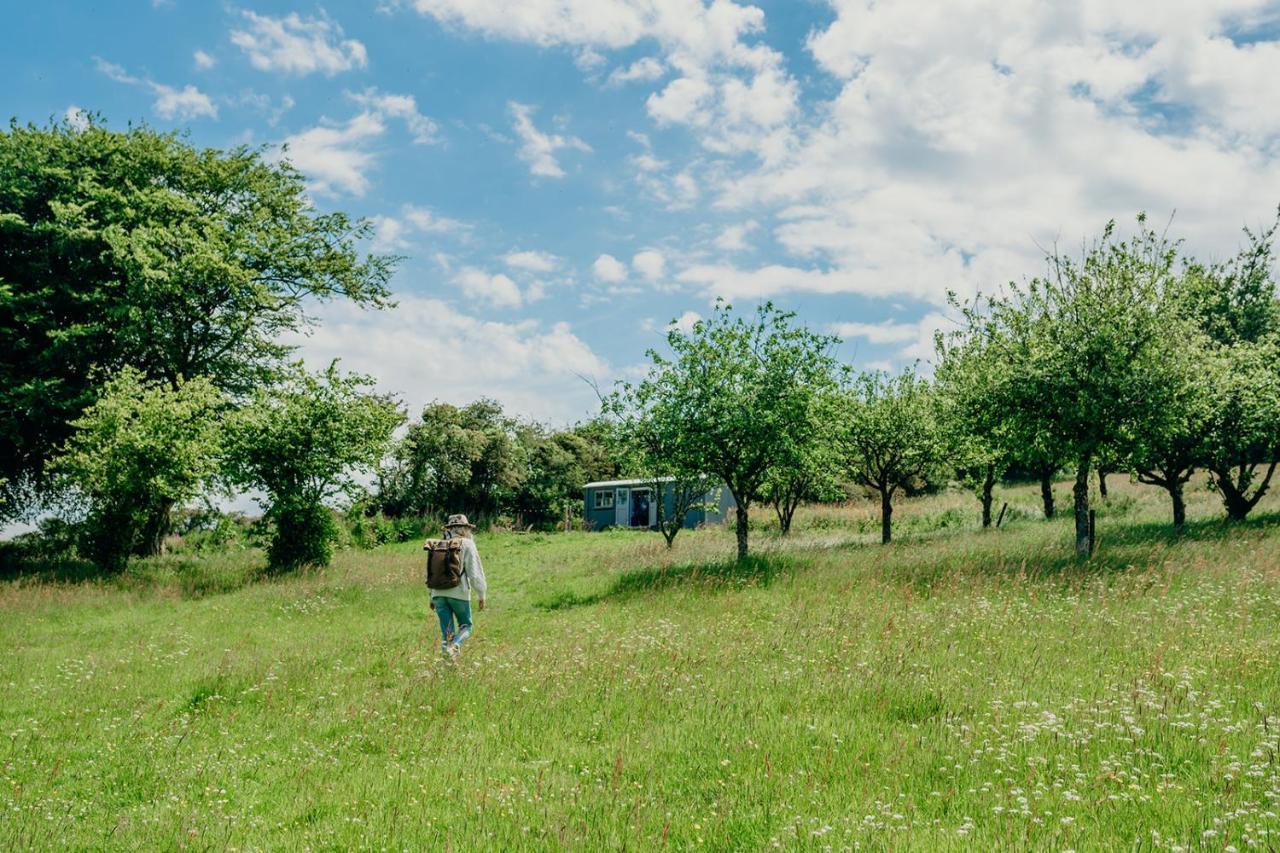 Blatchford Briar - Award Winning Private Shephards Huts With Their Own Secluded Hot Tubs Milton Abbot Екстериор снимка
