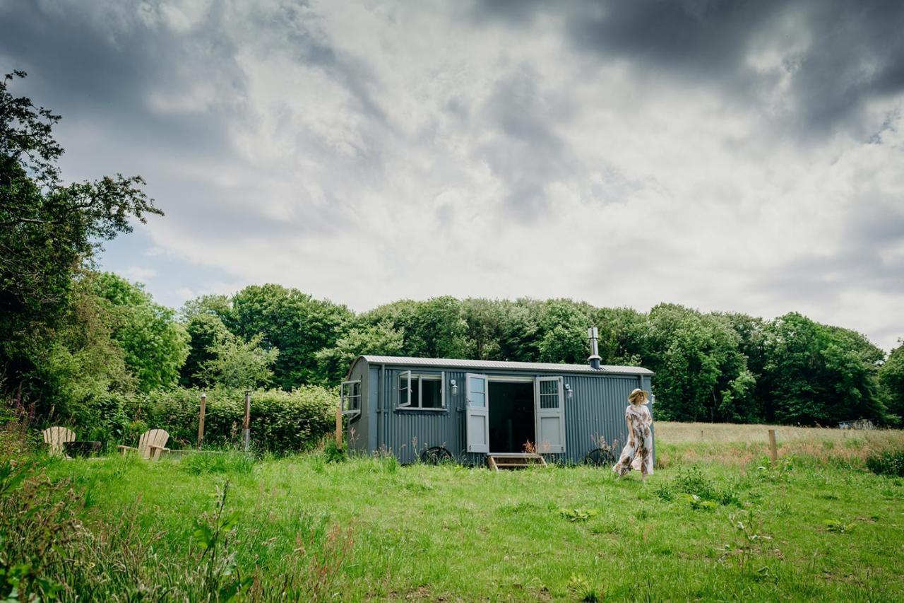 Blatchford Briar - Award Winning Private Shephards Huts With Their Own Secluded Hot Tubs Milton Abbot Екстериор снимка